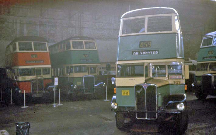 Sydney Buses AEC Regent III Commonwealth Engineering 995